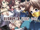 着衣緊縛猿轡CG集 はちBOX ゲームヒロインDIDBOX