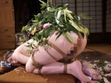 和とみやびの緊縛館 Vol.16 肛門被虐レズビアン 女華道家菊門調教 花狩まい